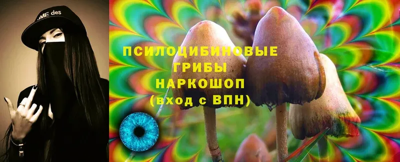 Псилоцибиновые грибы Psilocybine cubensis  Верхнеуральск 